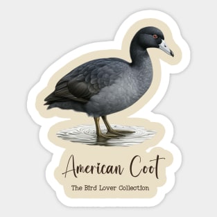 American Coot - The Bird Lover Collection Sticker